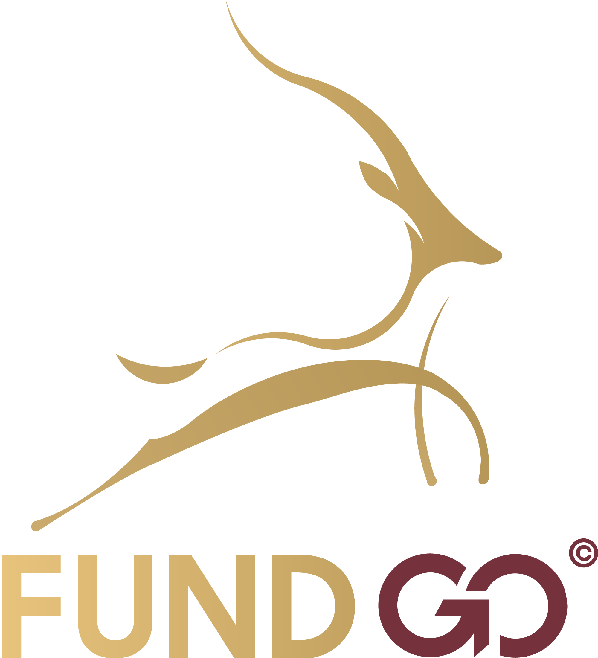 FUNDGO Fund Logo